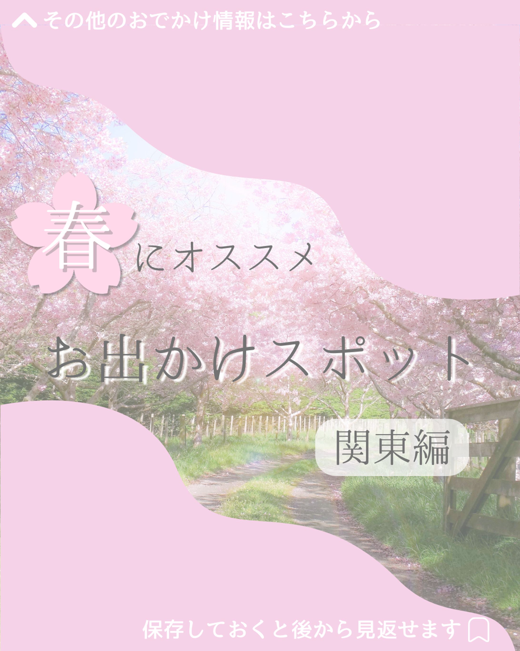 Instagram投稿画像-1