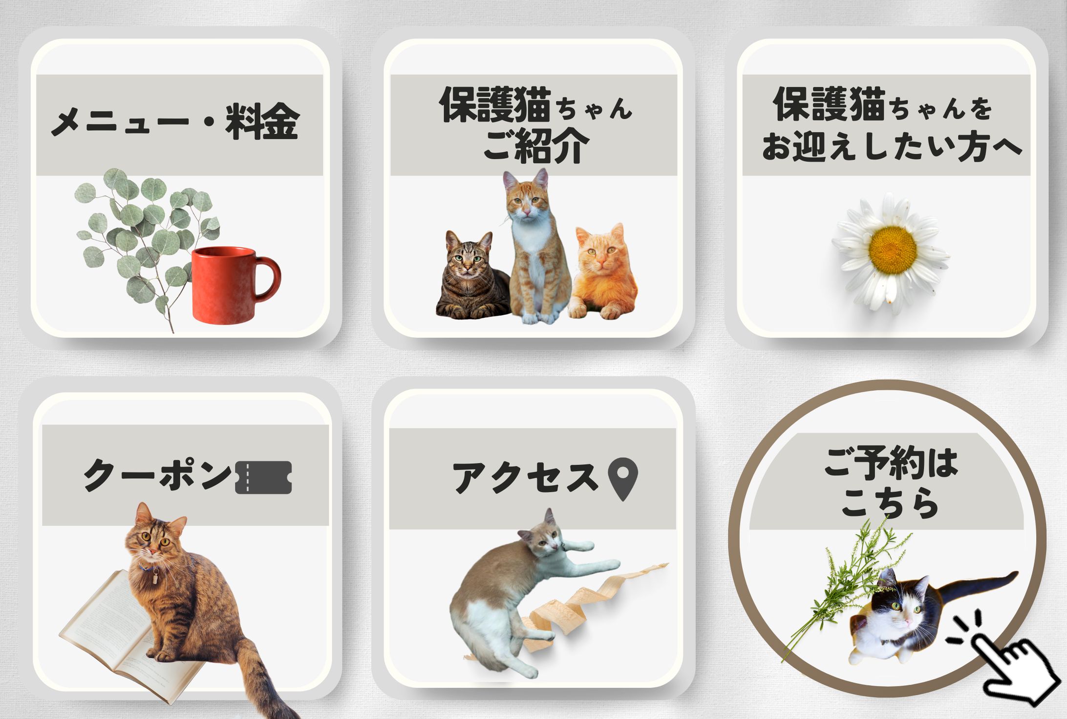 【LINEリッチメニュー】 保護猫カフェ-1