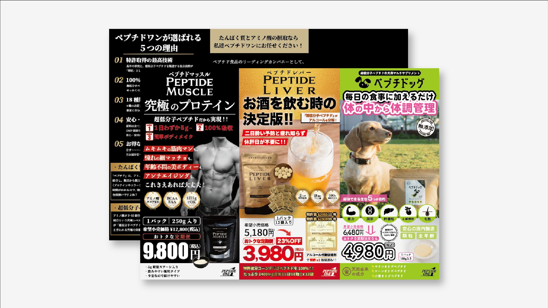 2022.6 PEPTIDE ONE 三つ折りチラシ制作-1