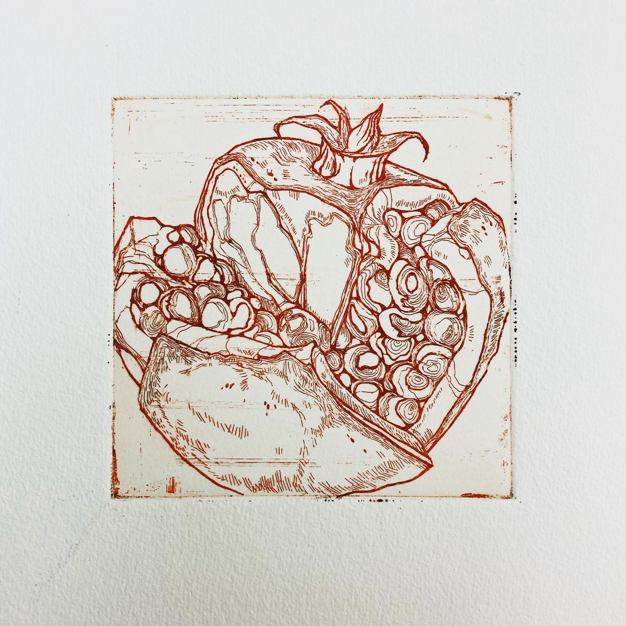 "ざくろ"
10㎝×10㎝

#etching
#銅版画
今日から4月だ🐹🐹-1