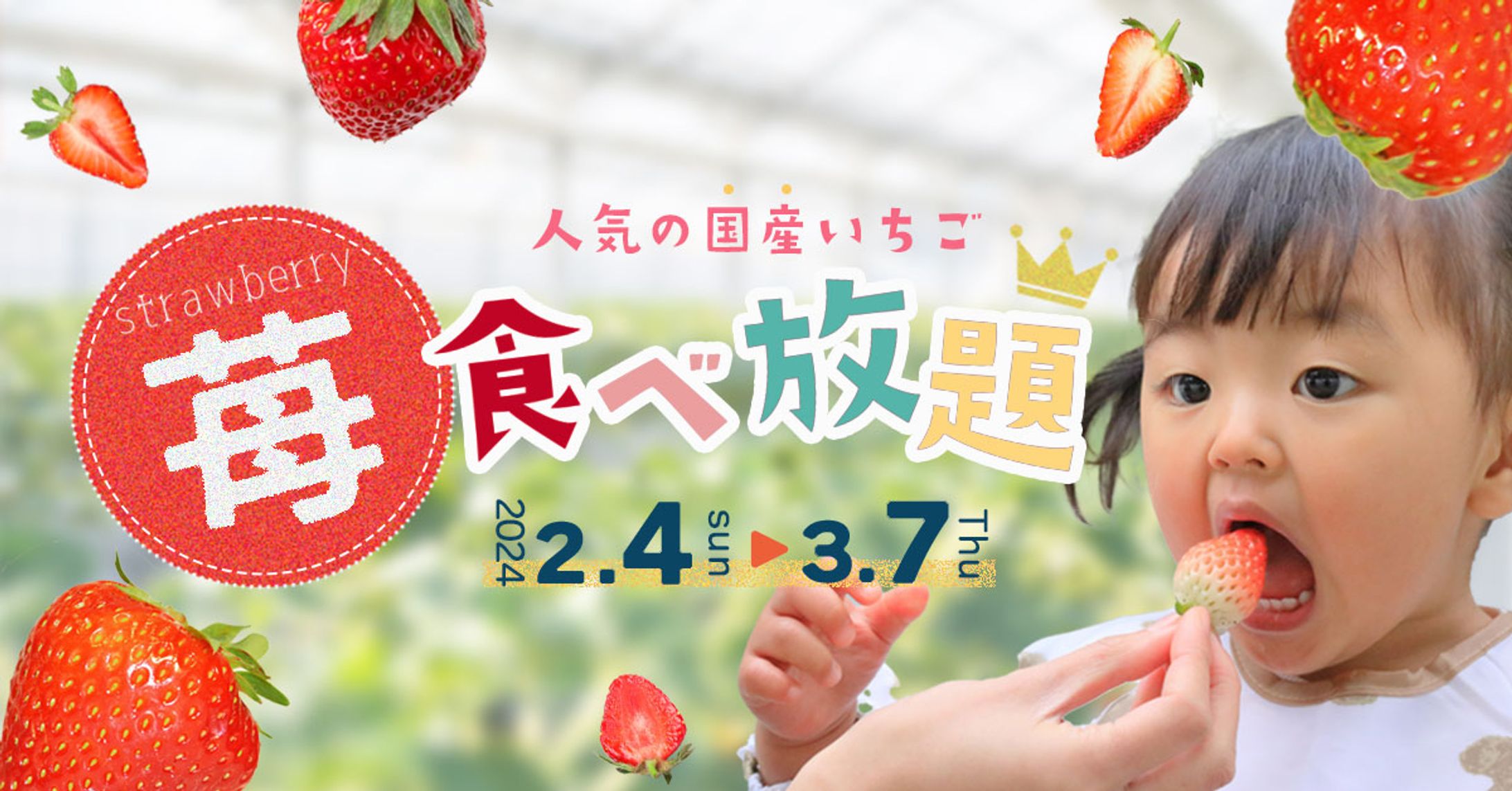 いちご狩りバナー-1