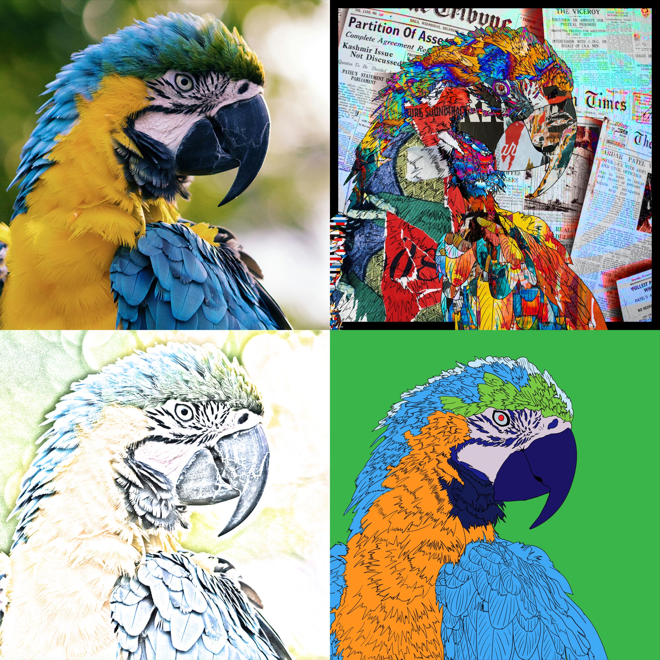 イラスト｜写真加工いたします-1
