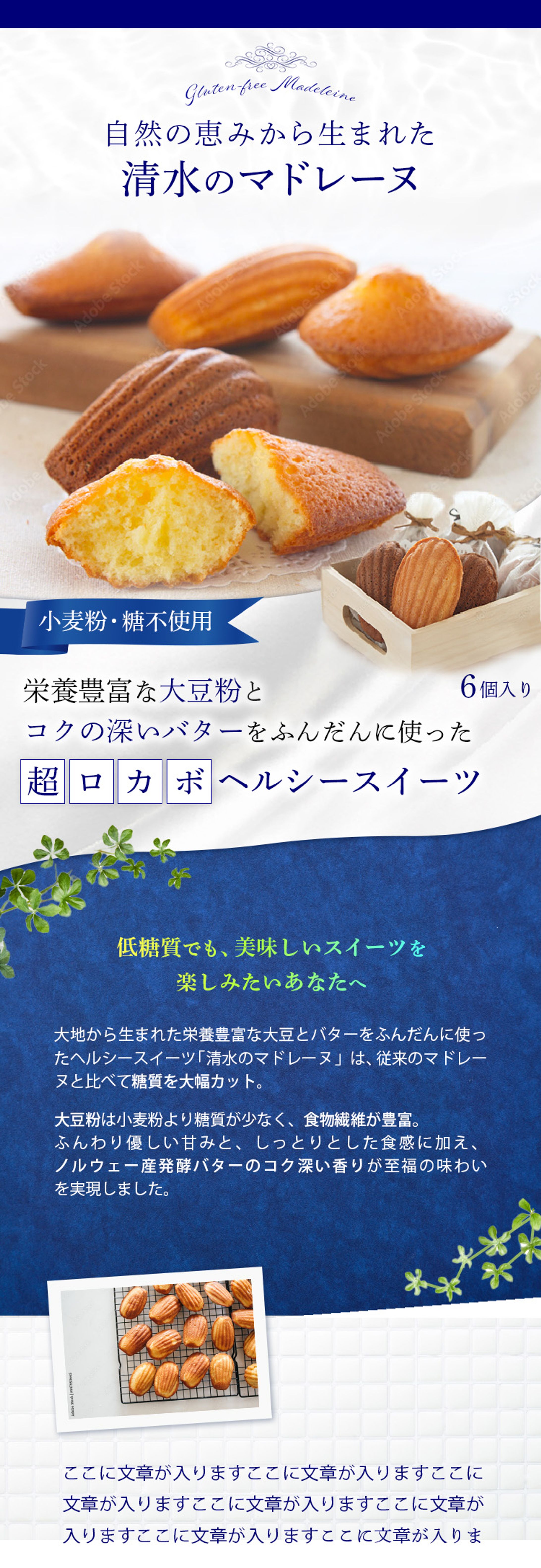 マドレーヌFV-1