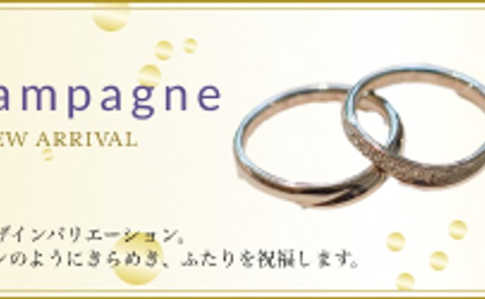 バナートレース20230829②