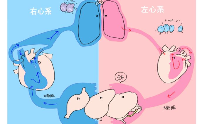 循環とは