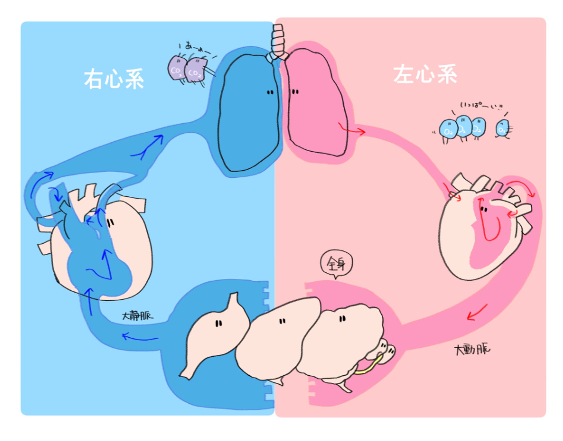 循環とは-1