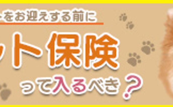 ペット保険 2サイズ