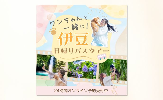 web design、食べ物