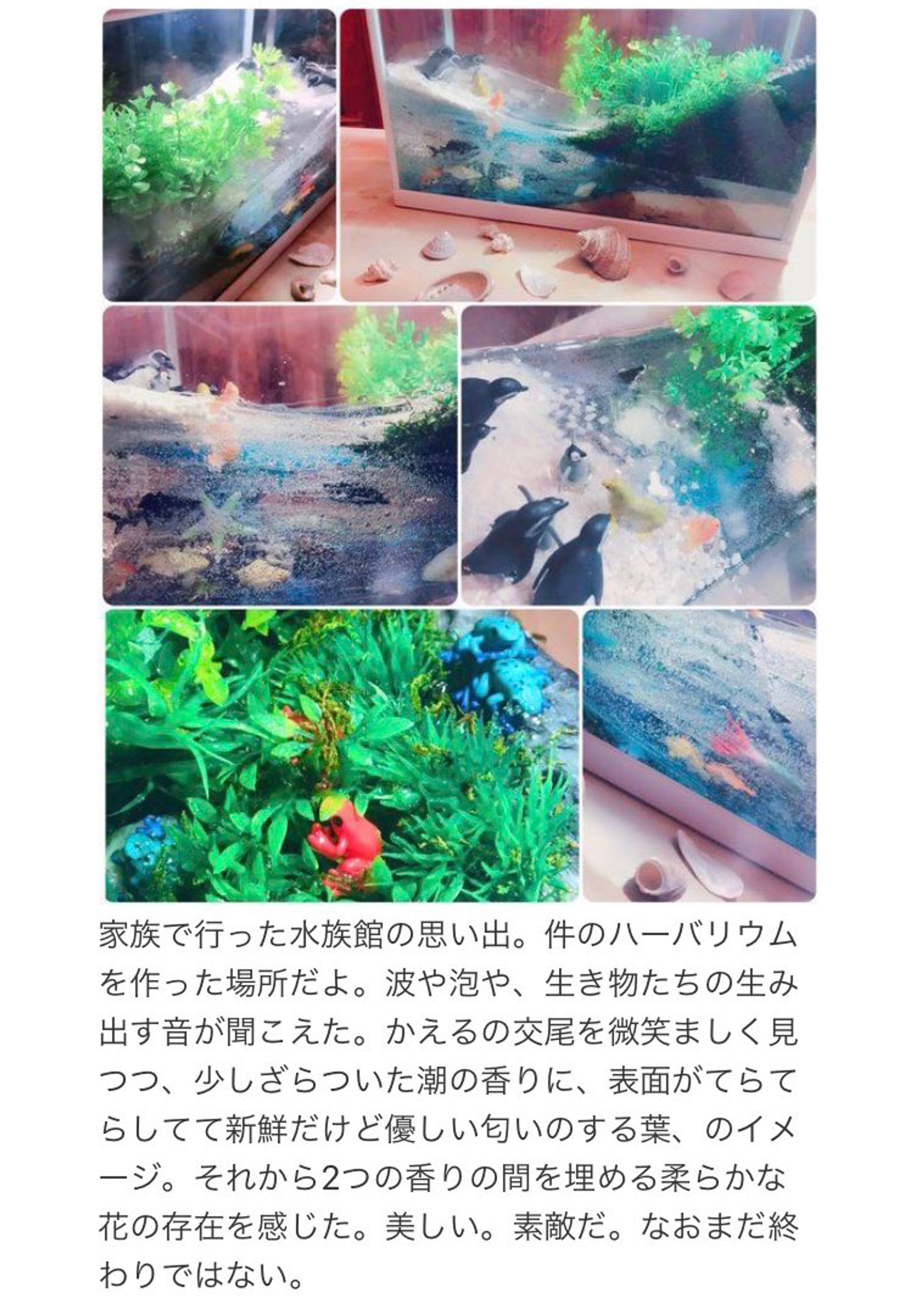 ご依頼者様の声-1