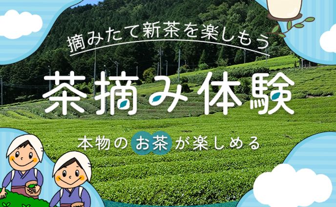 茶摘み体験バナー