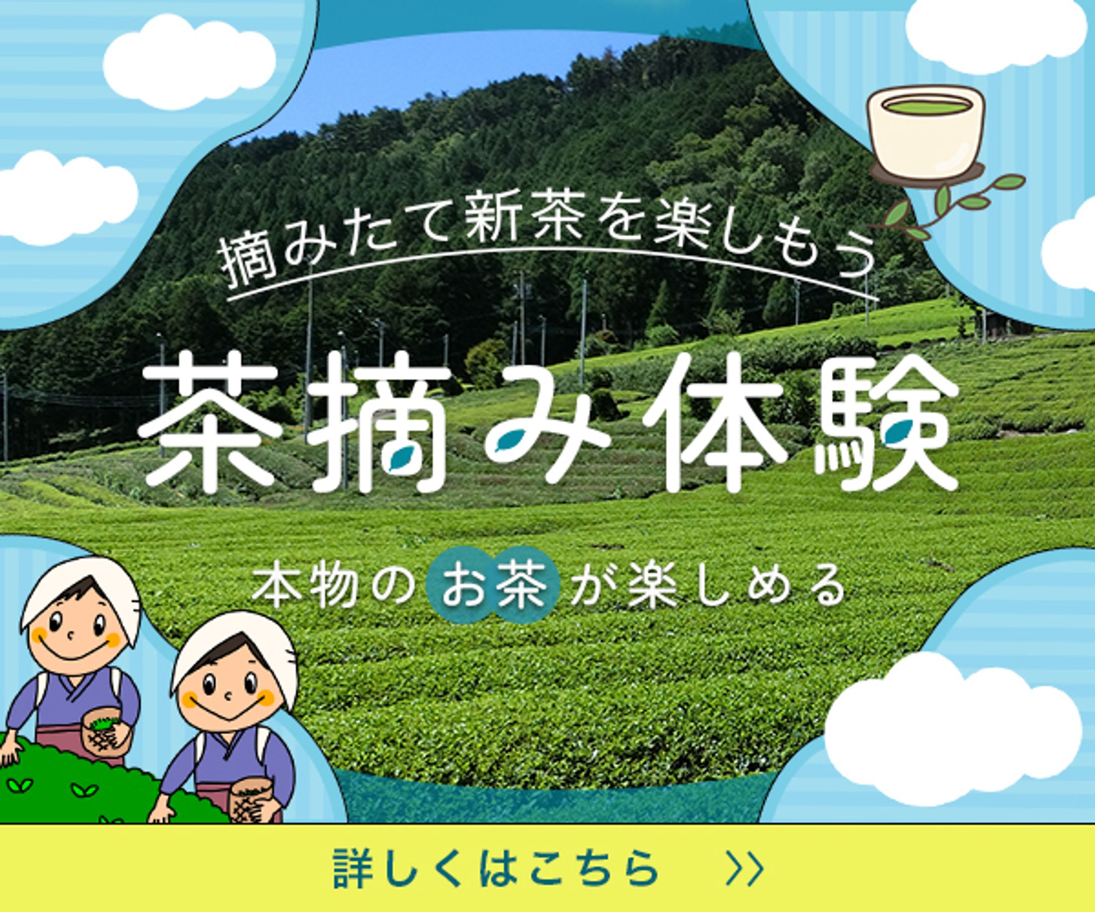 茶摘み体験バナー-1