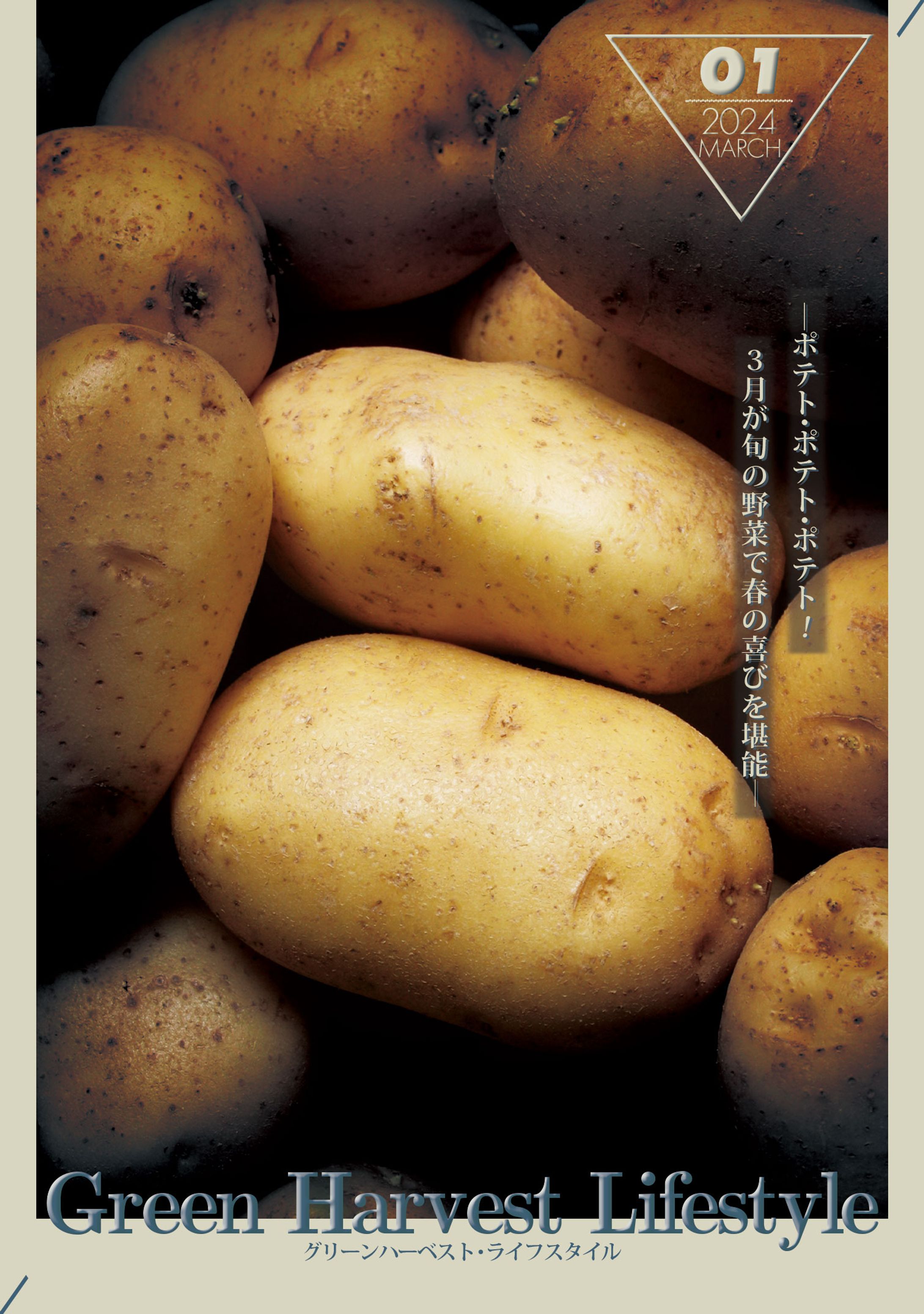月刊雑誌表紙テンプレート-1