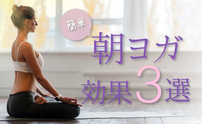 フィットネス系