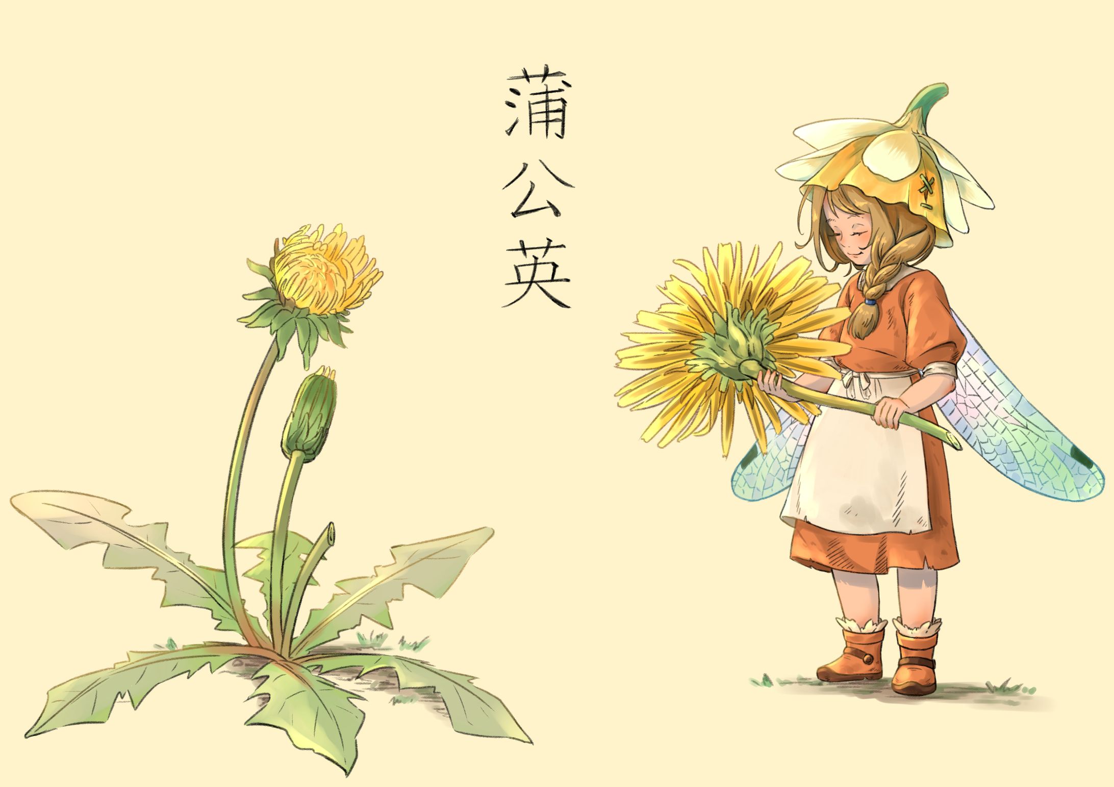 たんぽぽ-1
