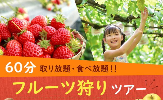 バナー：フルーツ狩り