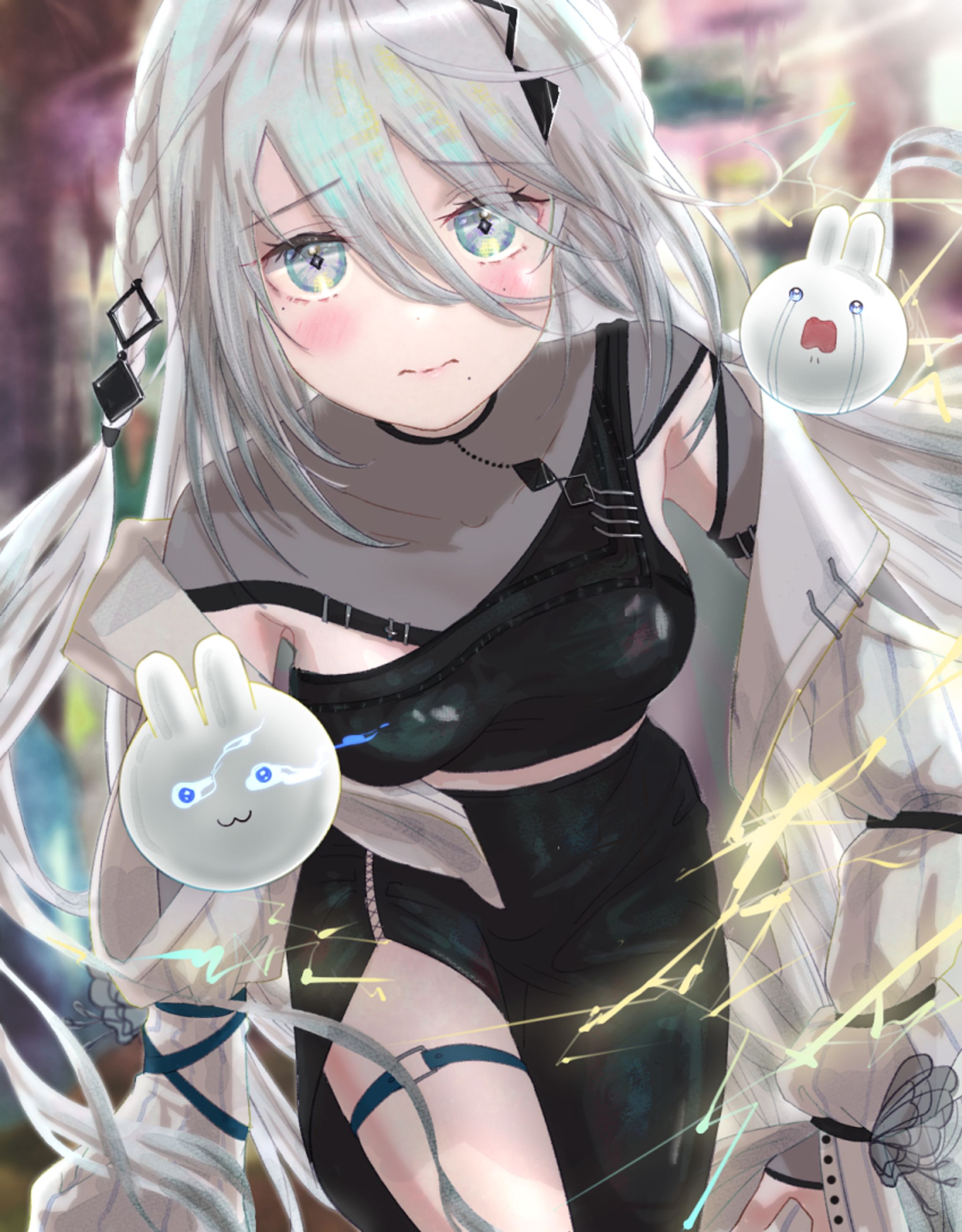 ブランカソフィちゃん-1