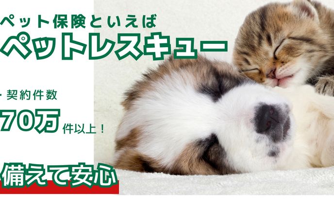ペット保険バナー