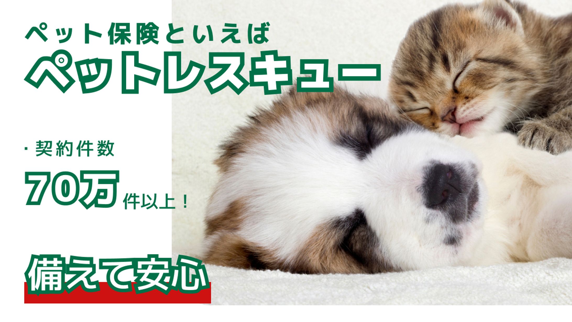 ペット保険バナー-1