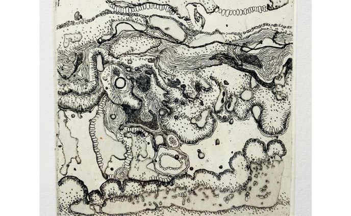 "through a microscope"
10㎝×10㎝
#銅版画
#etching
#雁皮刷り