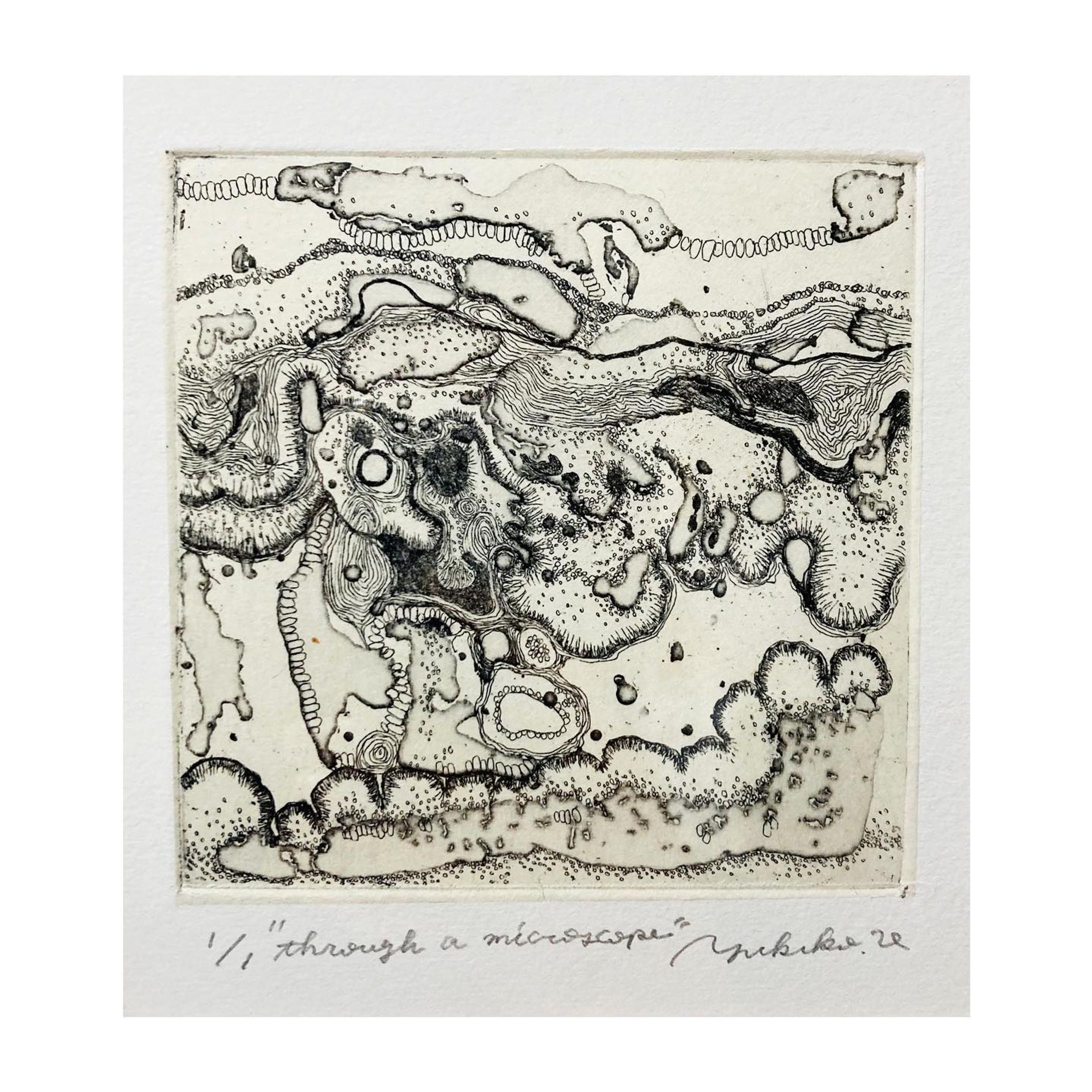 "through a microscope"
10㎝×10㎝
#銅版画
#etching
#雁皮刷り-1
