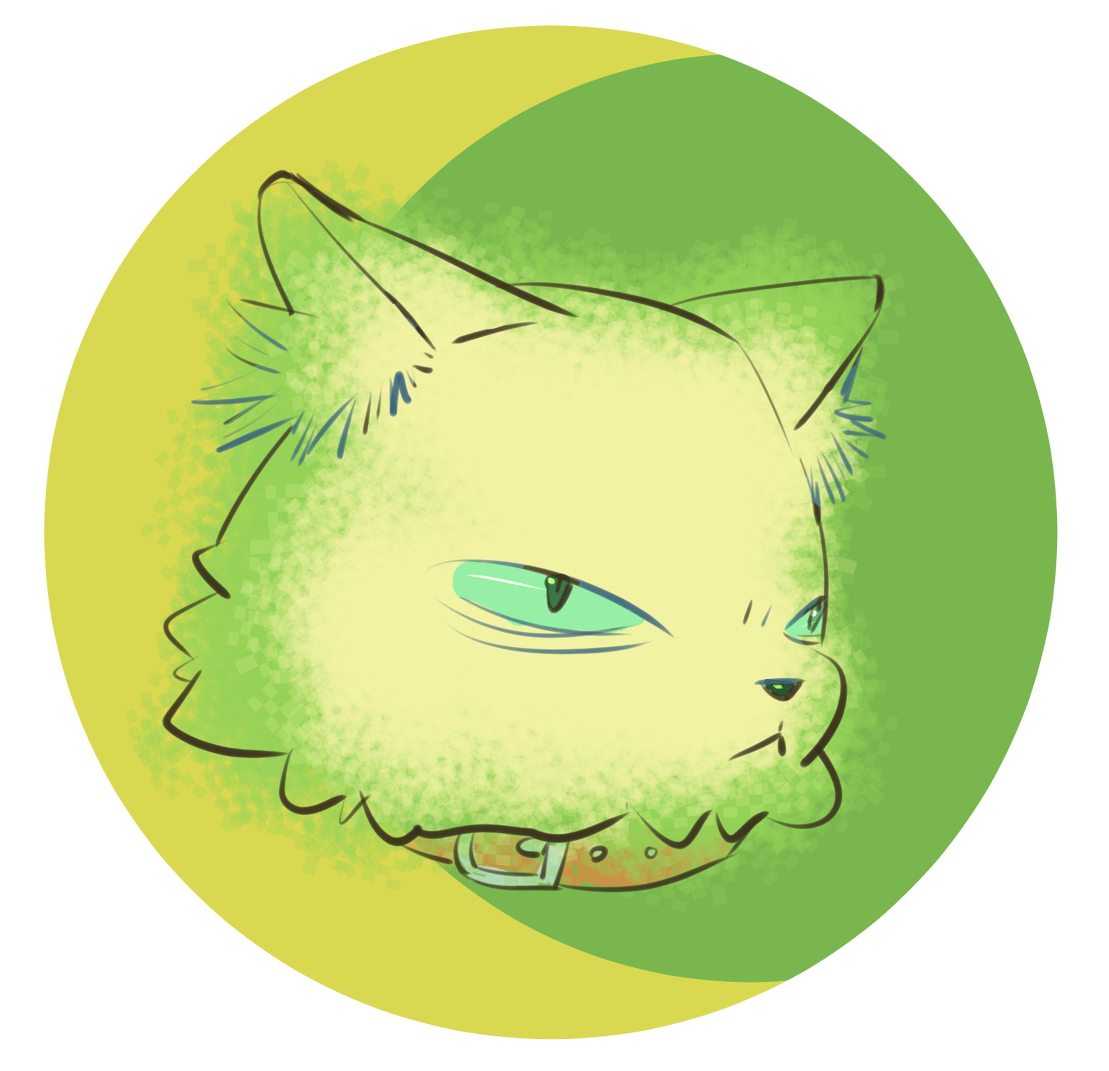 my cat face-1