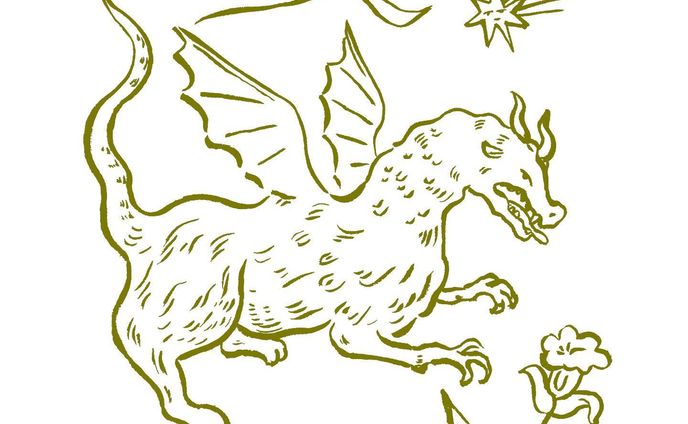 イラストレーター、package