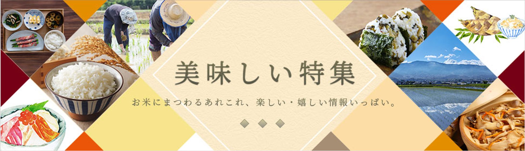 自主制作バナー ブランド米商材-1