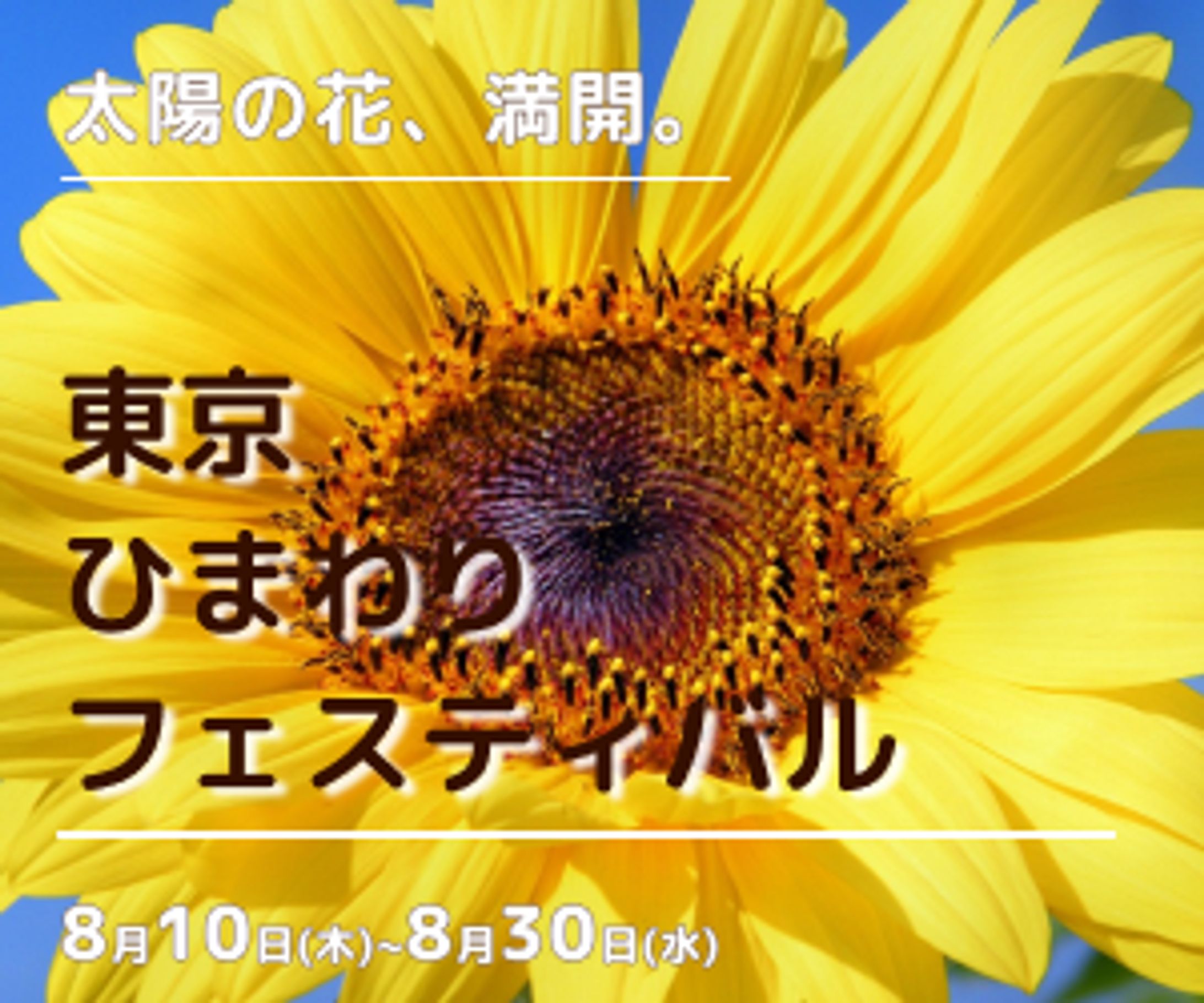 バナー-1