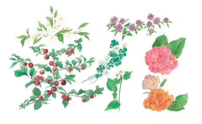 風花の花命画『実花』
