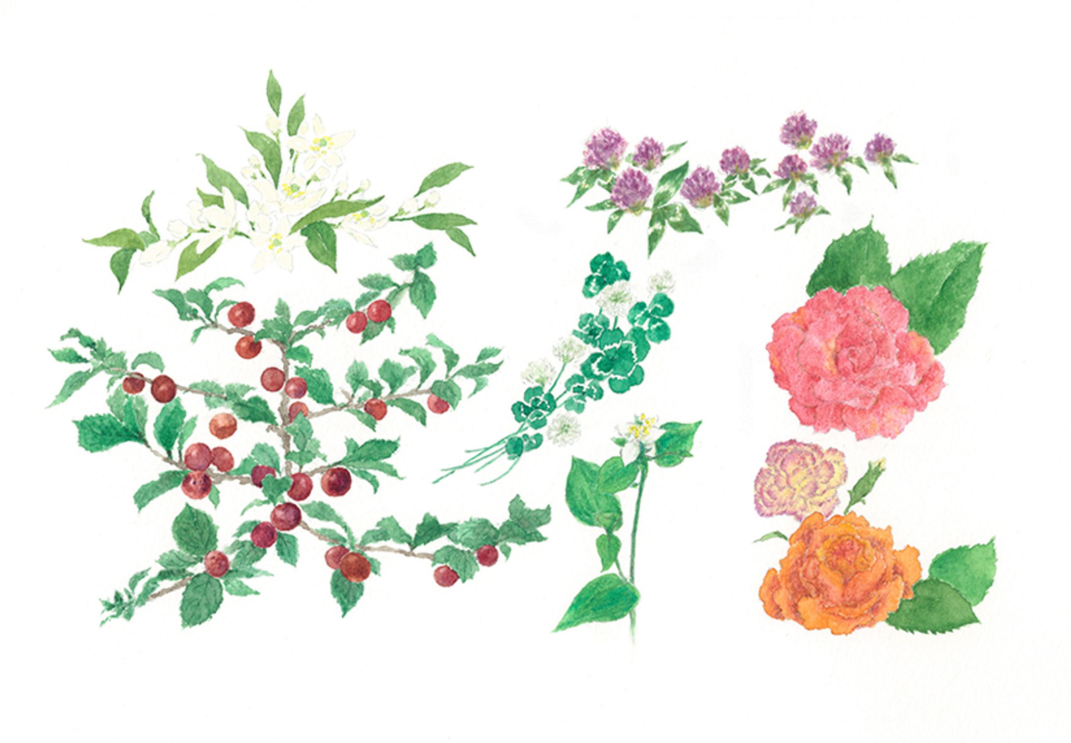 風花の花命画『実花』-1
