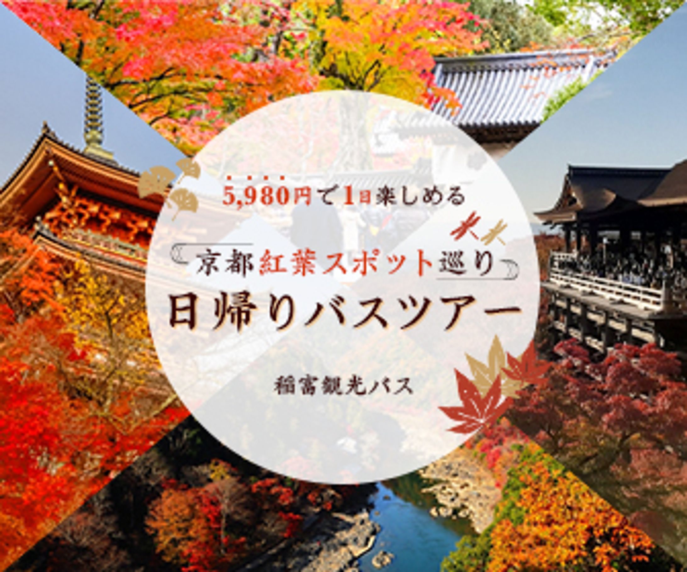 バスツアー-1