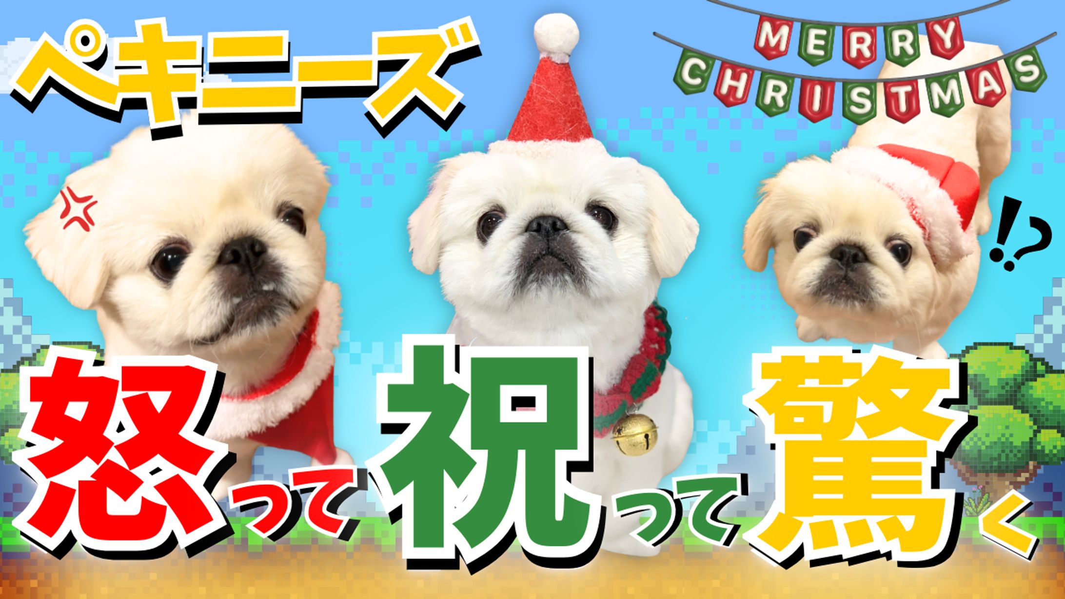 YouTubeサムネイル-1