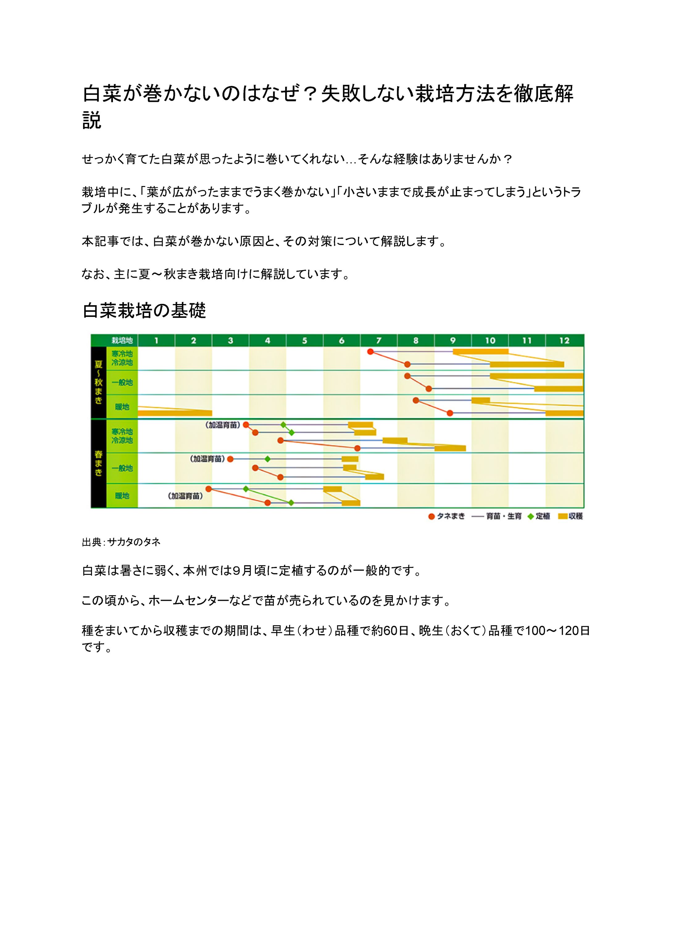 白菜が巻かないのはなぜ？失敗しない栽培方法を徹底解説-1