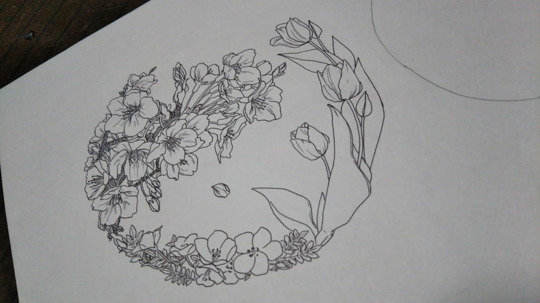 sketch-1