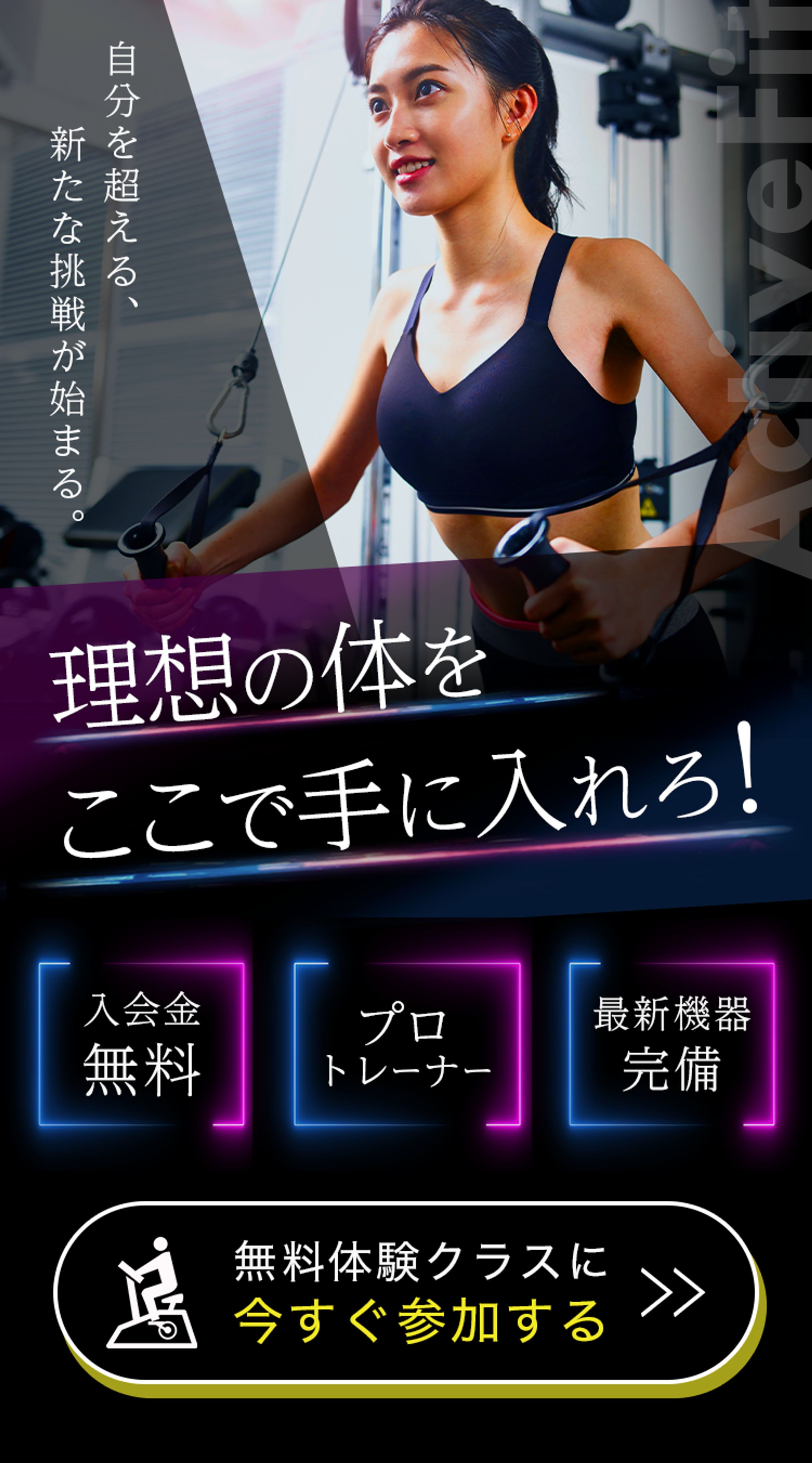 ジムFV-1