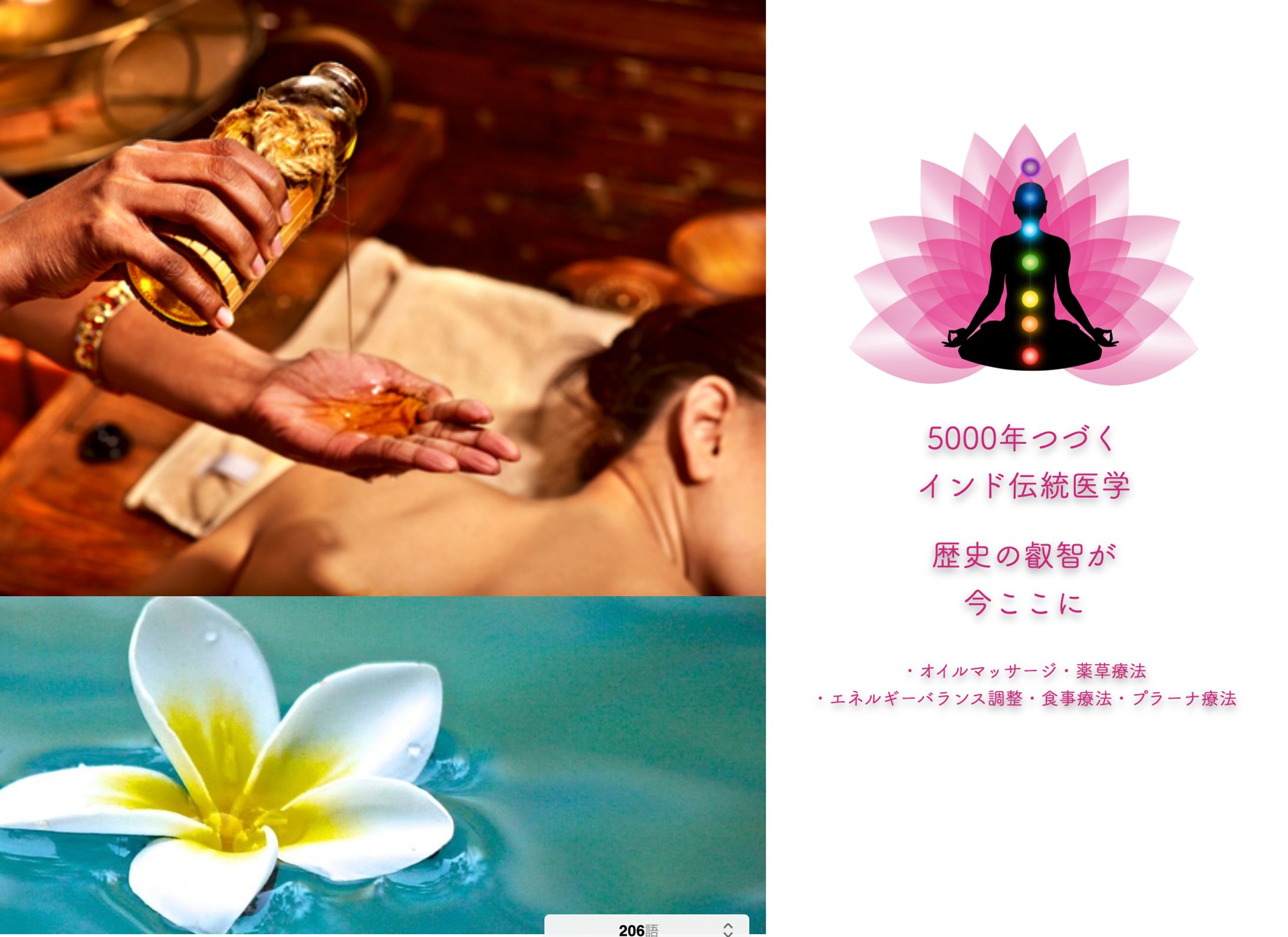 アーユルヴェーダ -1