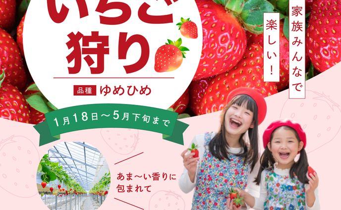 【スクール課題】いちご狩り