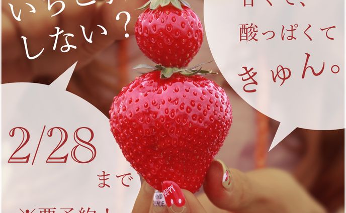 いちご狩りバナー