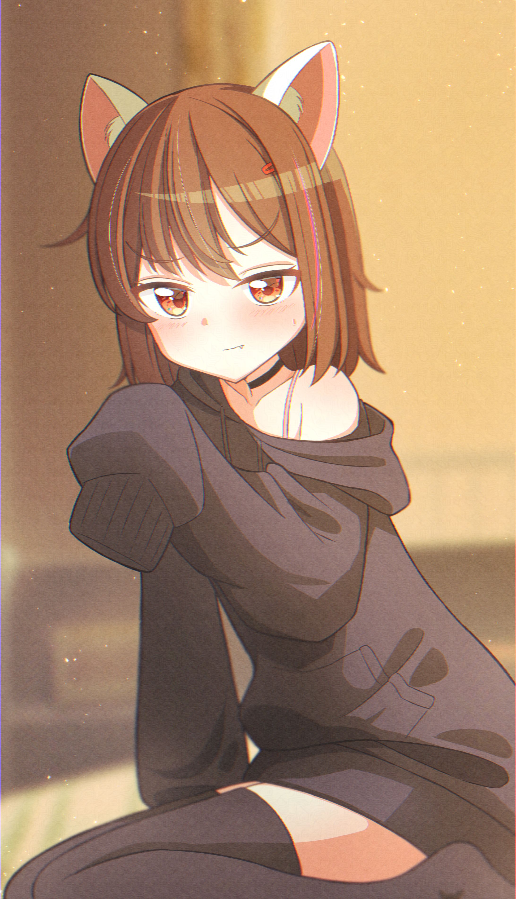 猫耳-1