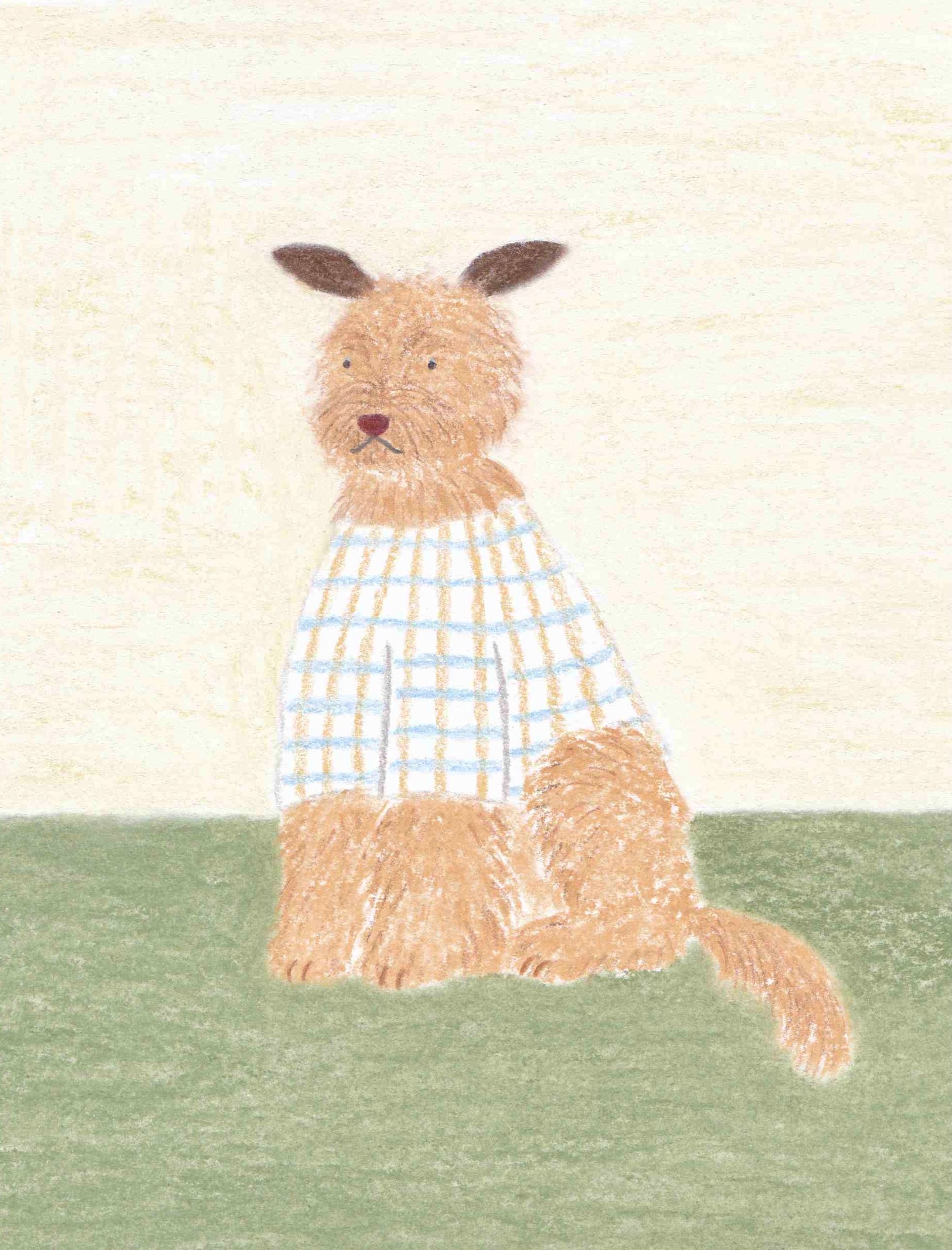My dog-1