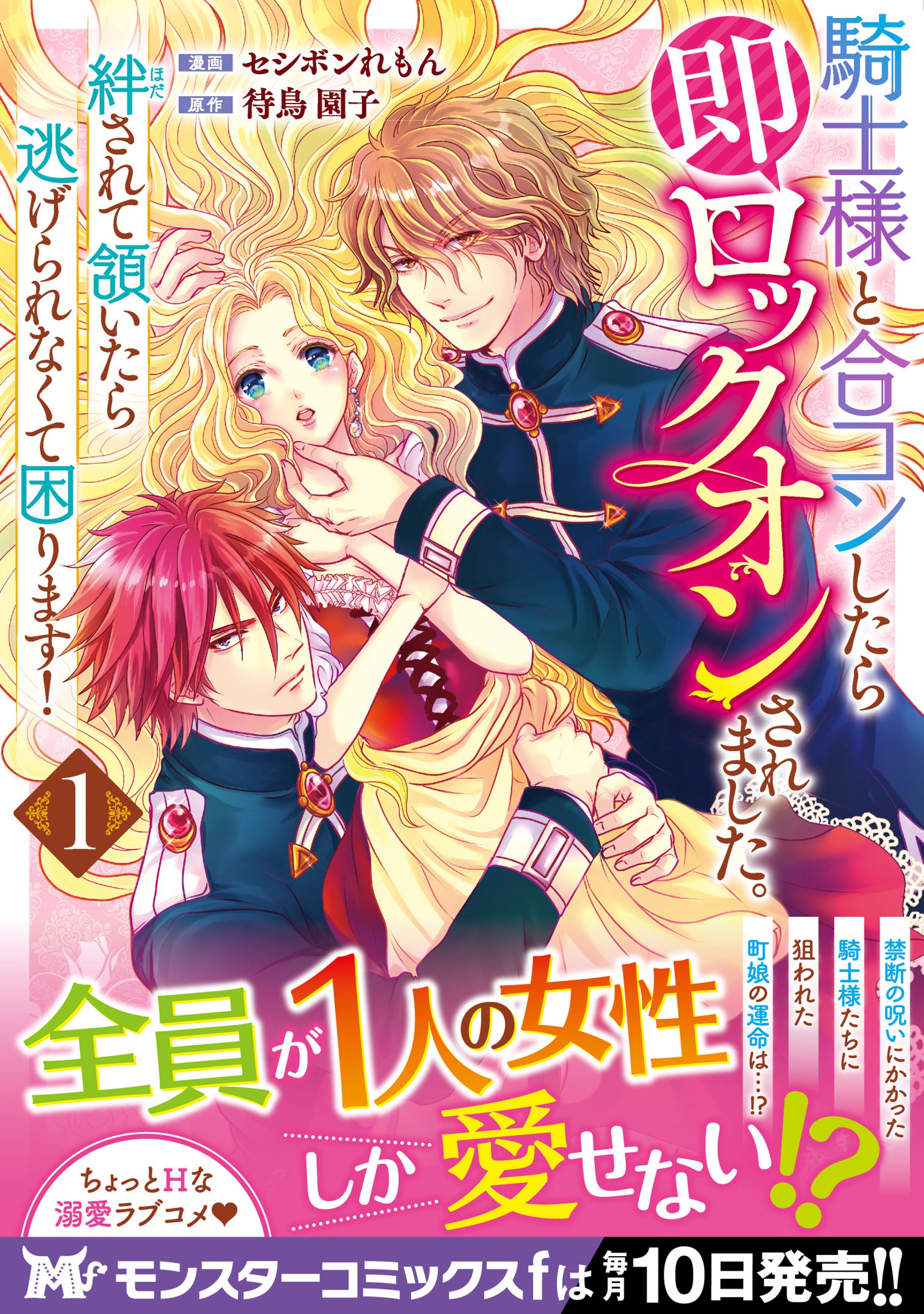 騎士様と合コンしたら即ロックオンされました。絆されて頷いたら逃げられなくて困ります！ (モンスターコミックスf)-1