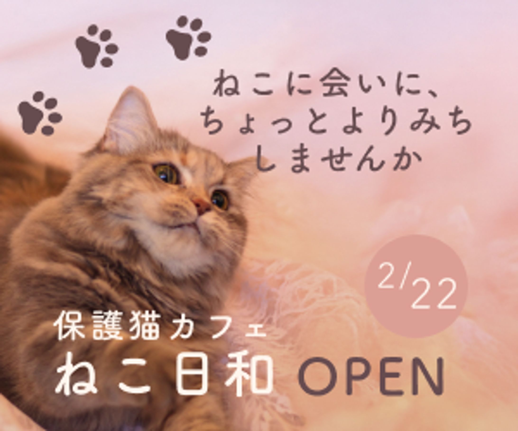 バナーデザイン｜保護猫カフェ オープン告知バナー-1