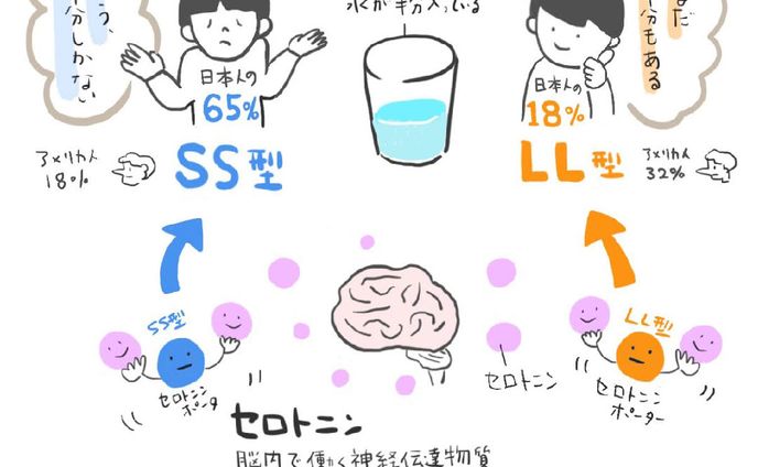 mvイラスト、図解