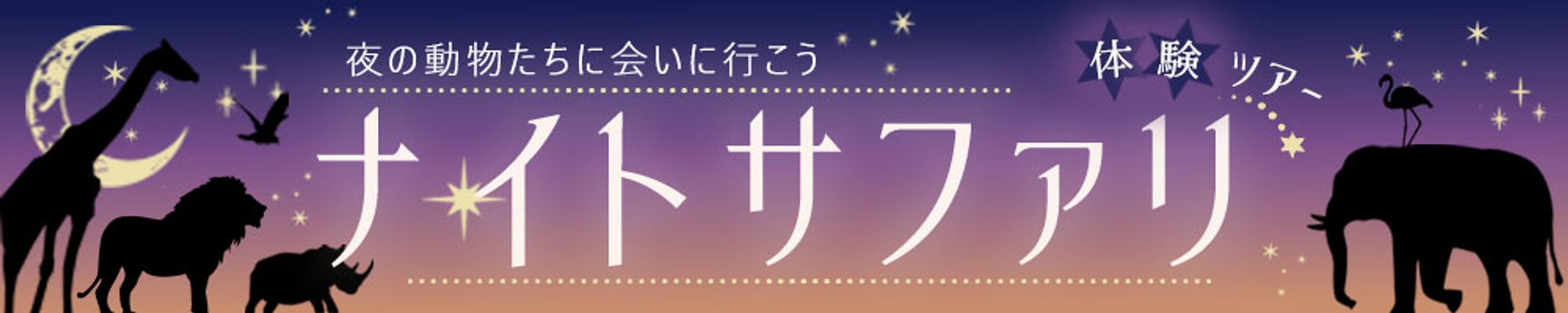 広告バナー｜ナイトサファリ体験ツアー-1