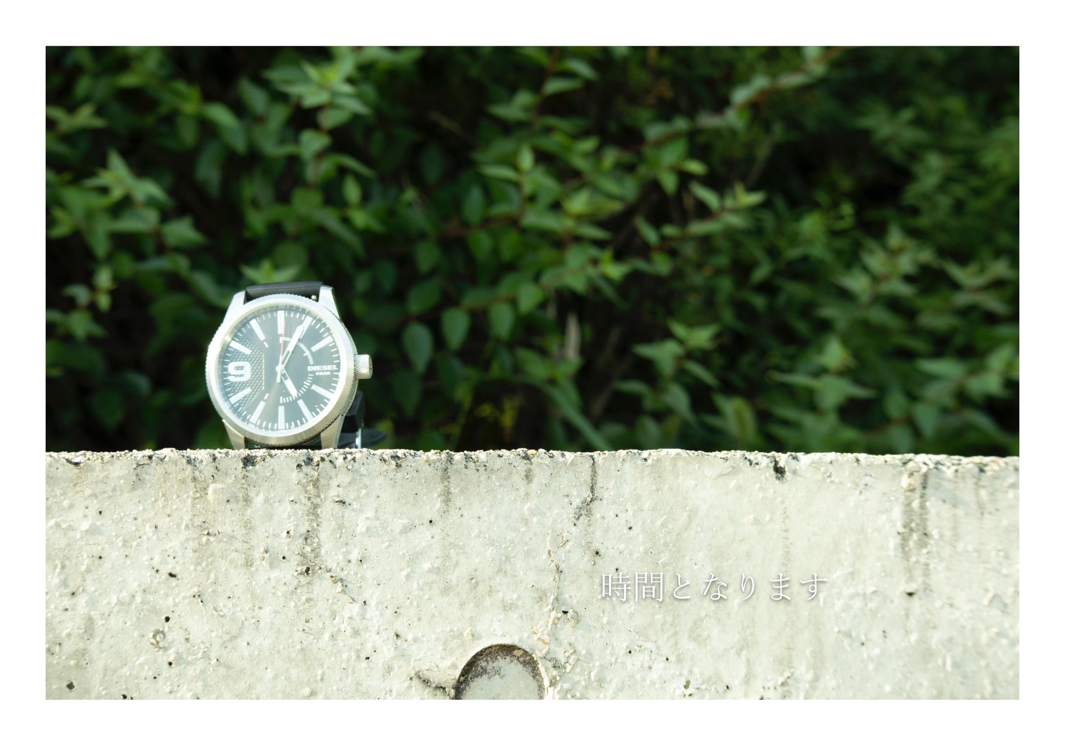 大阪芸術大学 橋本真吾　写真文集-1