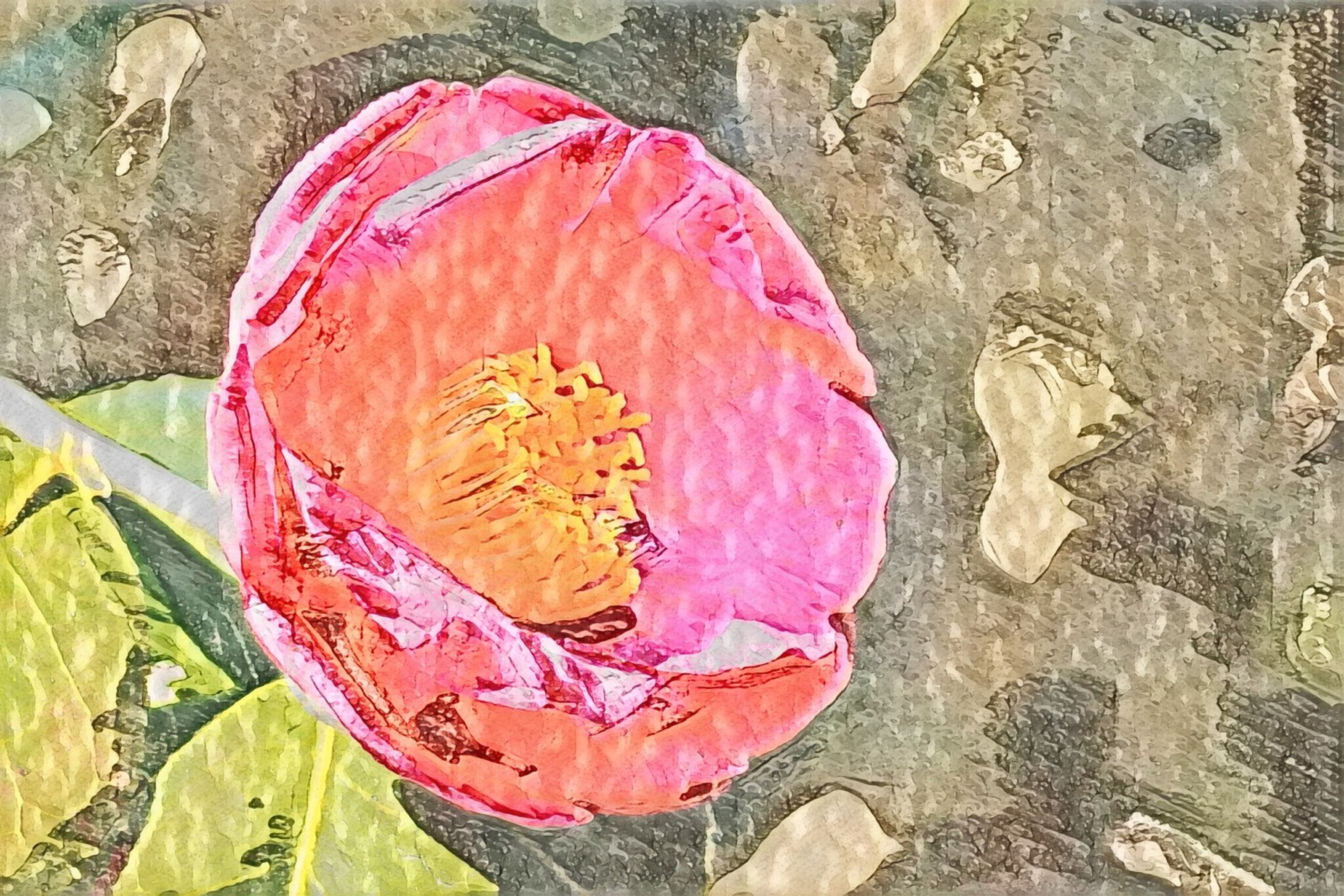 椿　太陽
edited by using photoshop-1