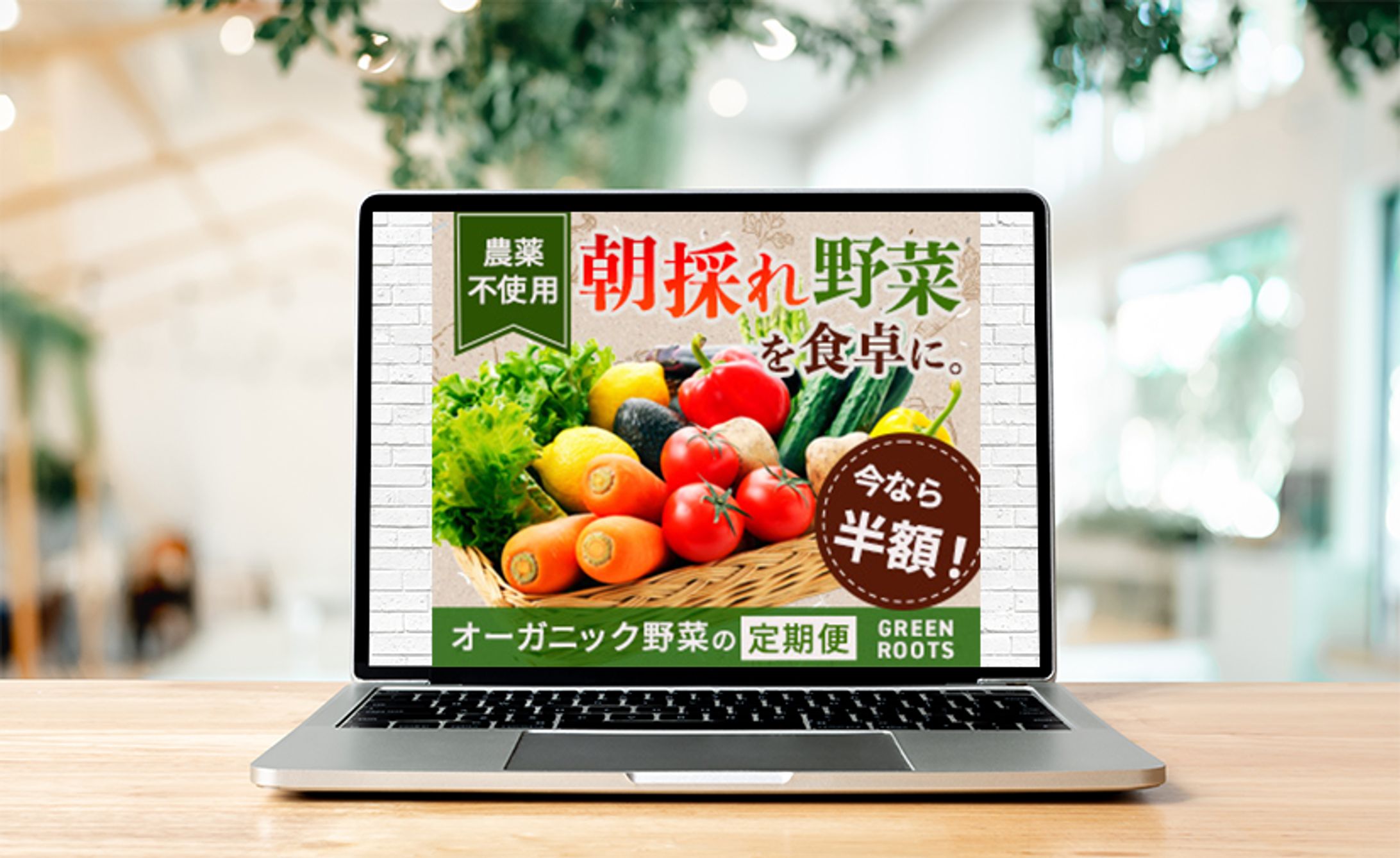 バナー｜野菜定期便-1