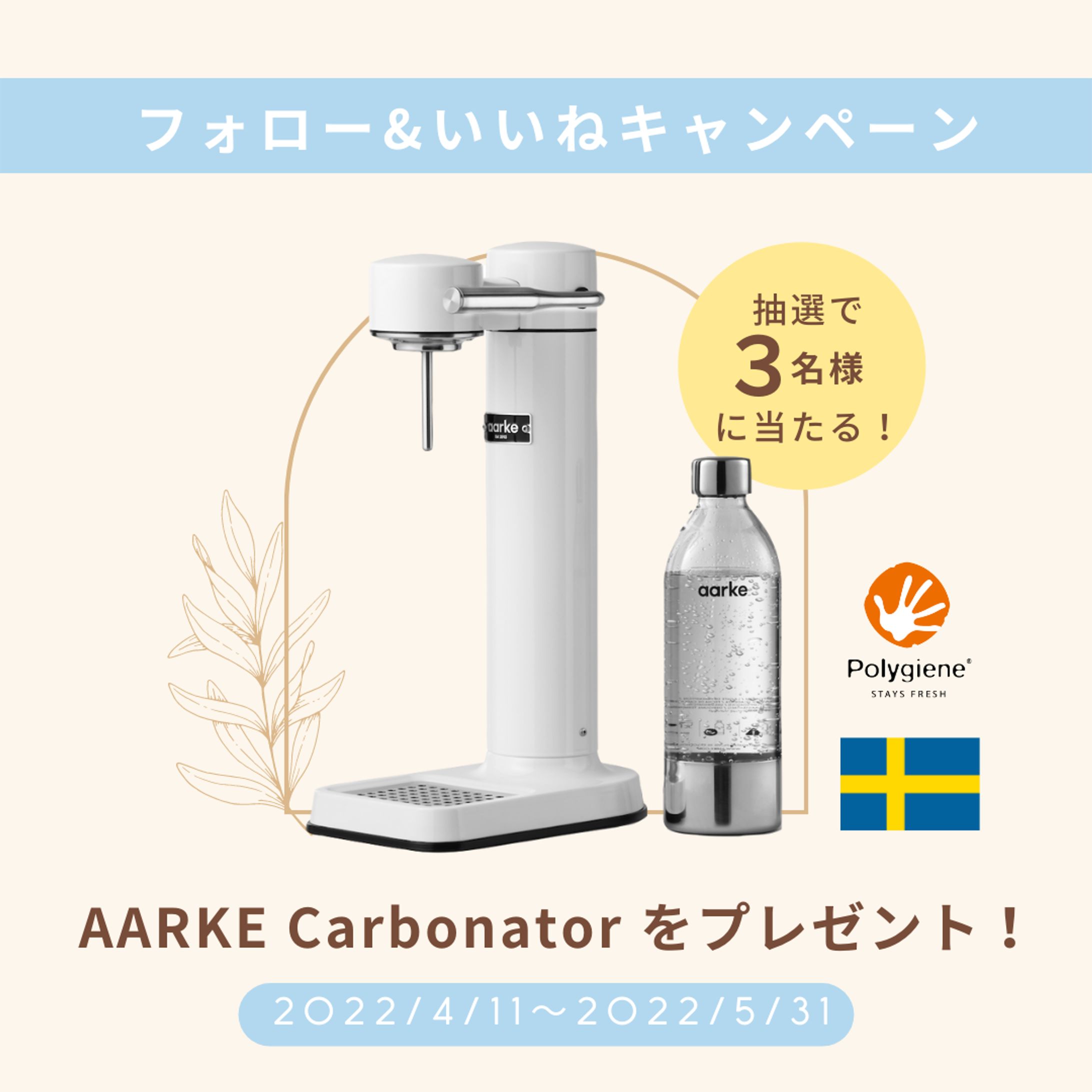 ポリジン CPクリエイティブ-1