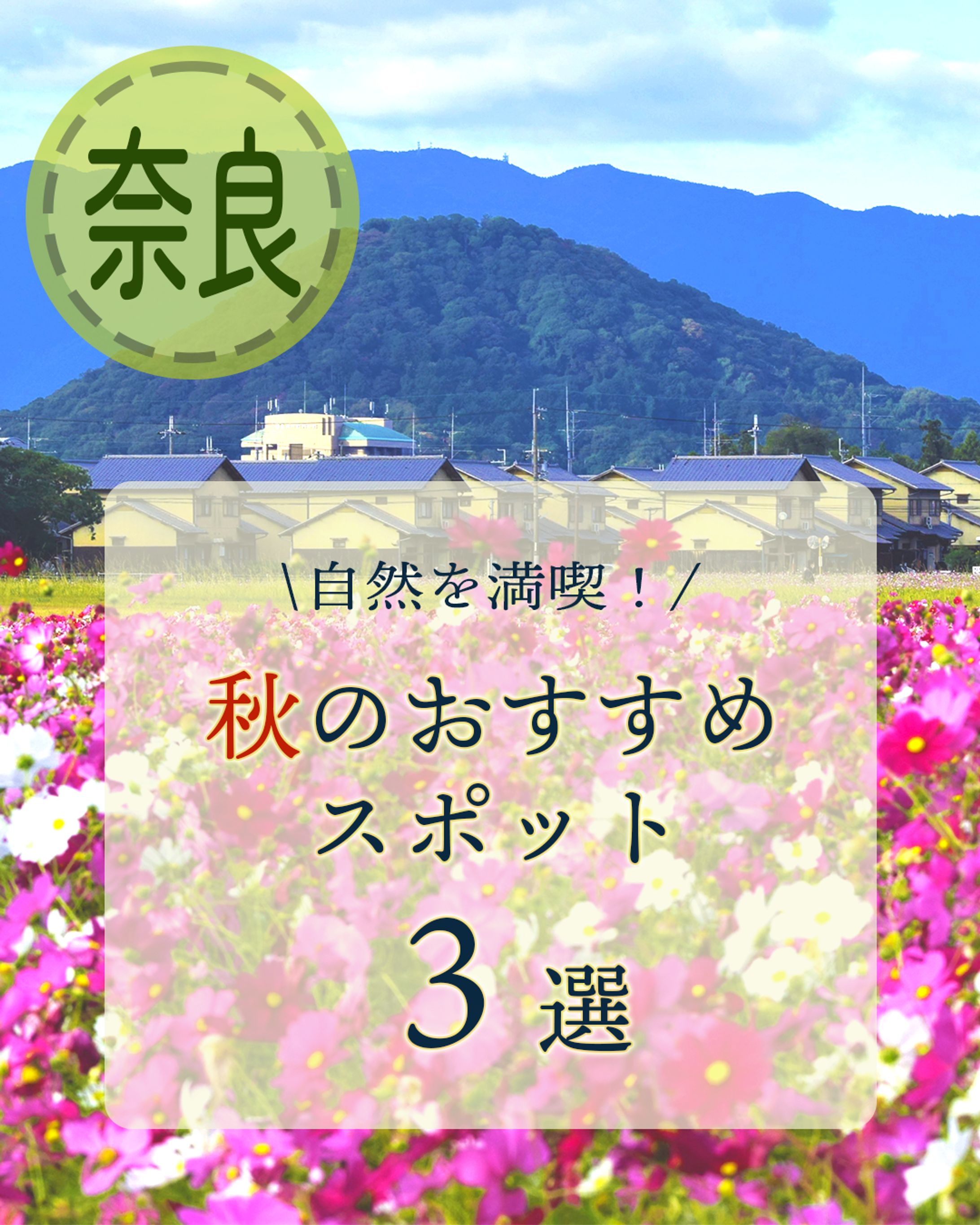 秋のおでかけスポット紹介-1
