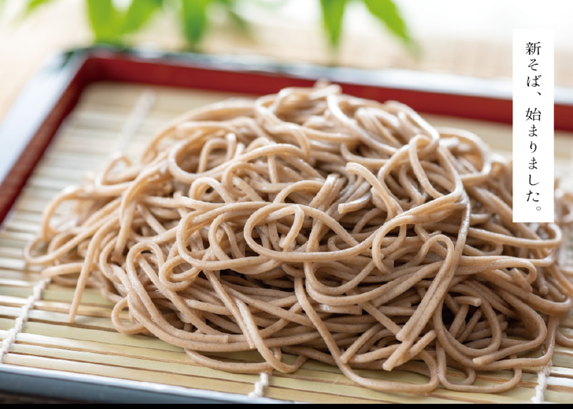 「新そば」店内POPイメージ-1